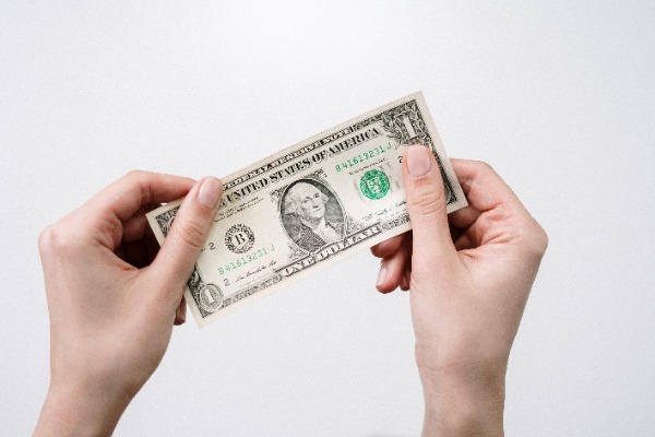 Woman Holding Dollar In The Air